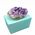 Amethyst Cluster Specimen in Gift Box