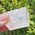 Pink Optical Calcite