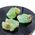 Green Calcite Crystals