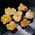 Golden Healer Crystal Groups 3cm