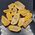 Golden Healer Crystal Points