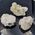 Apophyllite Cluster Specimen in Gift Box