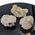 Apophyllite Cluster Specimen in Gift Box
