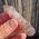 Brandberg Phantom Amethyst Crystal no20