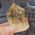 Natural Citrine Polished Point No31