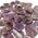 Auralite Crystal Slice 2-3cm