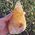 Orange Calcite Dogtooth Crystal No1A