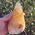 Orange Calcite Dogtooth Crystal No1A