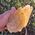 Orange Calcite Dogtooth Crystal No2A