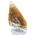 Orange Calcite Dogtooth Crystal No1A