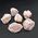 Rubellite in Quartz Pink Tourmaline Group