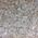 Quartz Points 3-4cm Qtr Kilo
