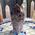 Super Seven Polished Point Tower No3