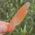One off, Natural Orange Tangerine Quartz Crystal Point No1, 7.5cm long, Tabular, DT