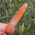 One off, Natural Orange Tangerine Quartz Crystal Point No1, 7.5cm long, Tabular, DT