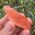 Orange Tangerine Quartz Point No1