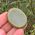 Jade Crystal Worry Stones