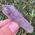 Brandberg Phantom Amethyst Crystal no25a