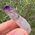 Brandberg Phantom Amethyst Crystal no2