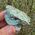 Rough Turquoise no1
