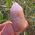 Amethyst Spirit Quartz No10