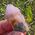 Amethyst Spirit Quartz No10
