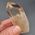 Smoky Citrine Quartz Point No1A