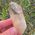 Smoky Citrine Quartz Point No1A