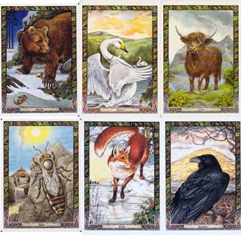 Druid Animal Oracle cards