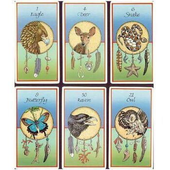 Medicine Cards Set