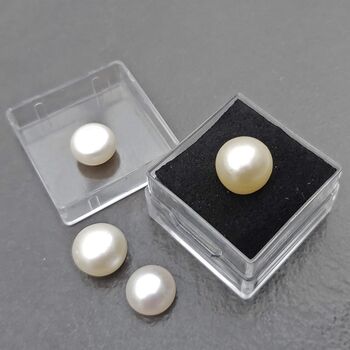 Freshwater Pearls in Specimen box