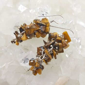 Tigers Eye Grape Earrings