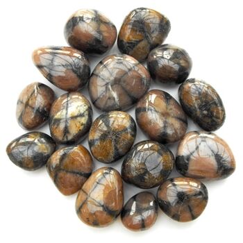 Chiastolite Cross Tumble