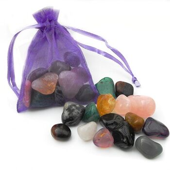 Small Crystal Gem Bag in Organza Pouch