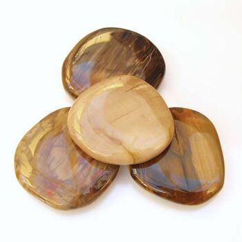 Petrified Wood Palm Stones