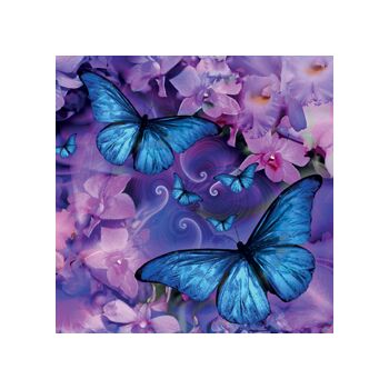 Butterfly Music Gift Card
