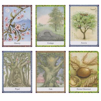 The Wisdom of the Trees Oracle Cards