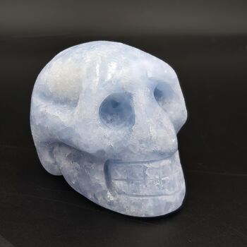 Blue Calcite Crystal Skull No1