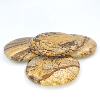 Picture Jasper Palm Stones
