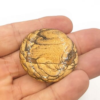Picture Jasper Palm Stones