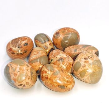 Rhyolite