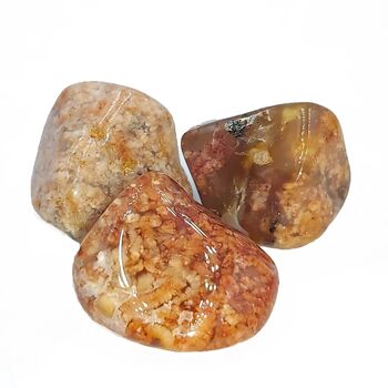 Orange Moss Agate
