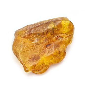 Polished Baltic Amber