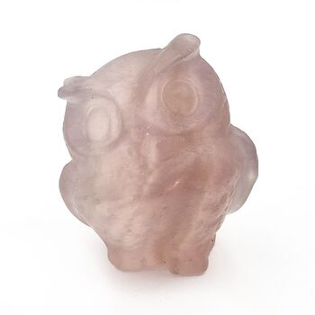 Fluorite Crystal Owl Figurine