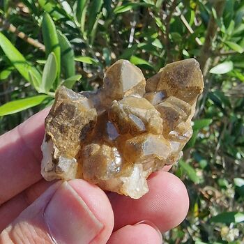 Golden Healer Crystal Group No8