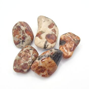 Hessonite Garnet Tumble Stones