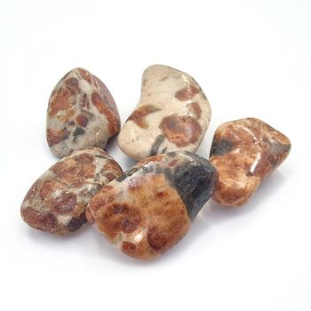 Hessonite Garnet Tumble Stones
