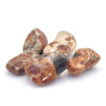 Hessonite Garnet Tumble Stones