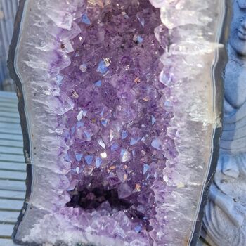 Amethyst Geode Cathedral Specimen PO5