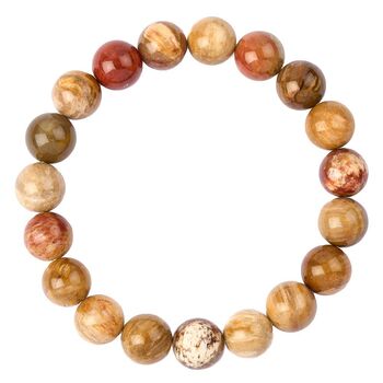 Petrified Wood 10mm Bead Bracelet